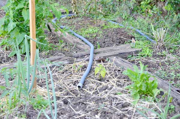 Simple Greywater Diverter for your garden | Self Sufficient Culture