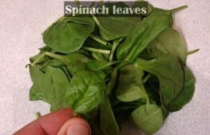 spinach leaves for rooster soup.jpg