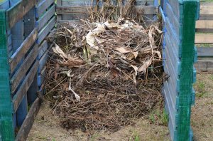 green waste compost building up in bay ssc.jpg