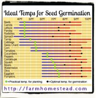 ideal-temperatures-seed-germination.jpg