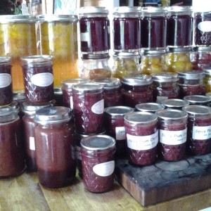 Preserved Plums