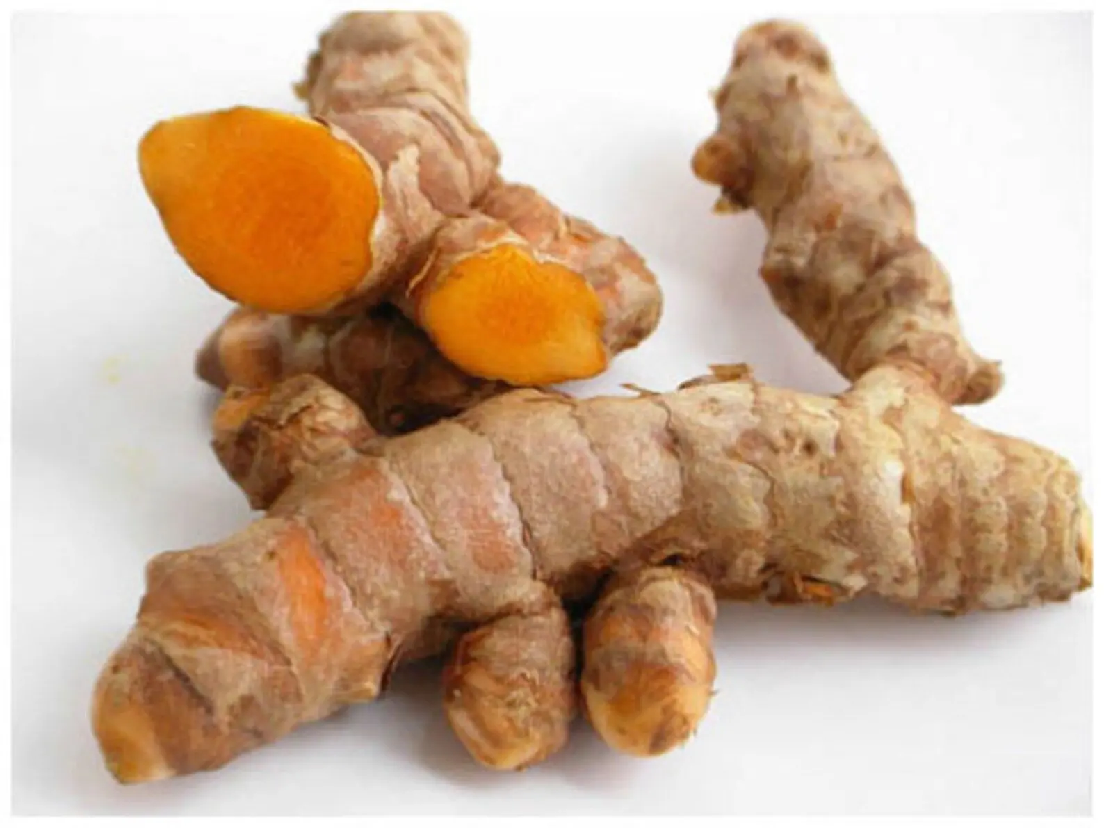 Health & Wellbeing - The Medicinal Garden | Turmeric (Curcuma longa)