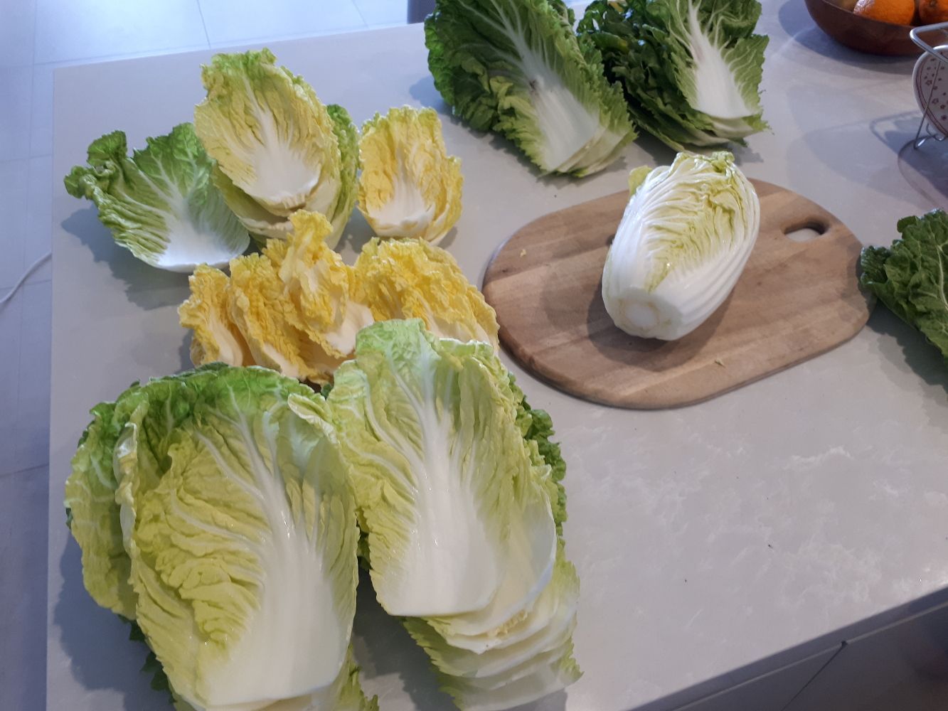 02 Cabbage Prep.jpg
