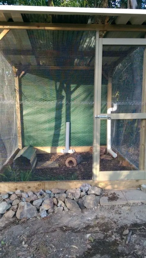 Building my Quail Pen , by Jen