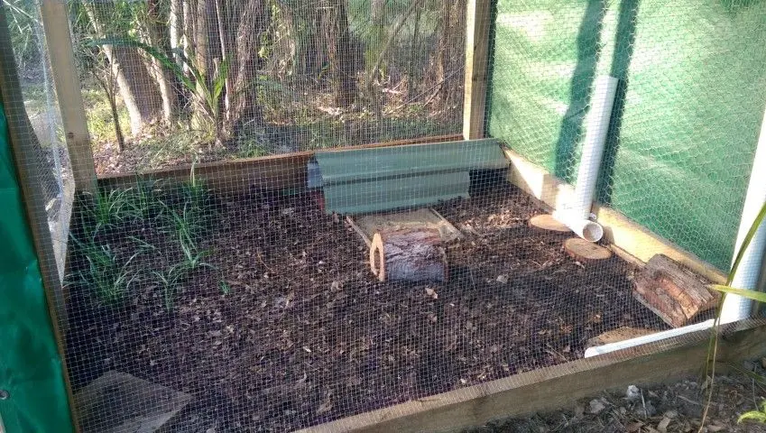 Building my Quail Pen , by Jen