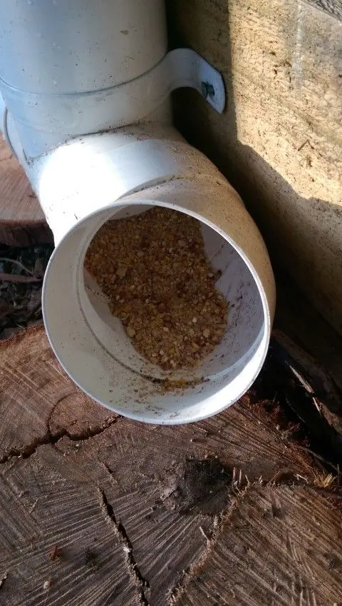 Building my Quail Pen , by Jen