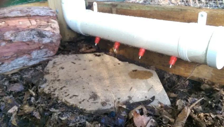 Building my Quail Pen , by Jen