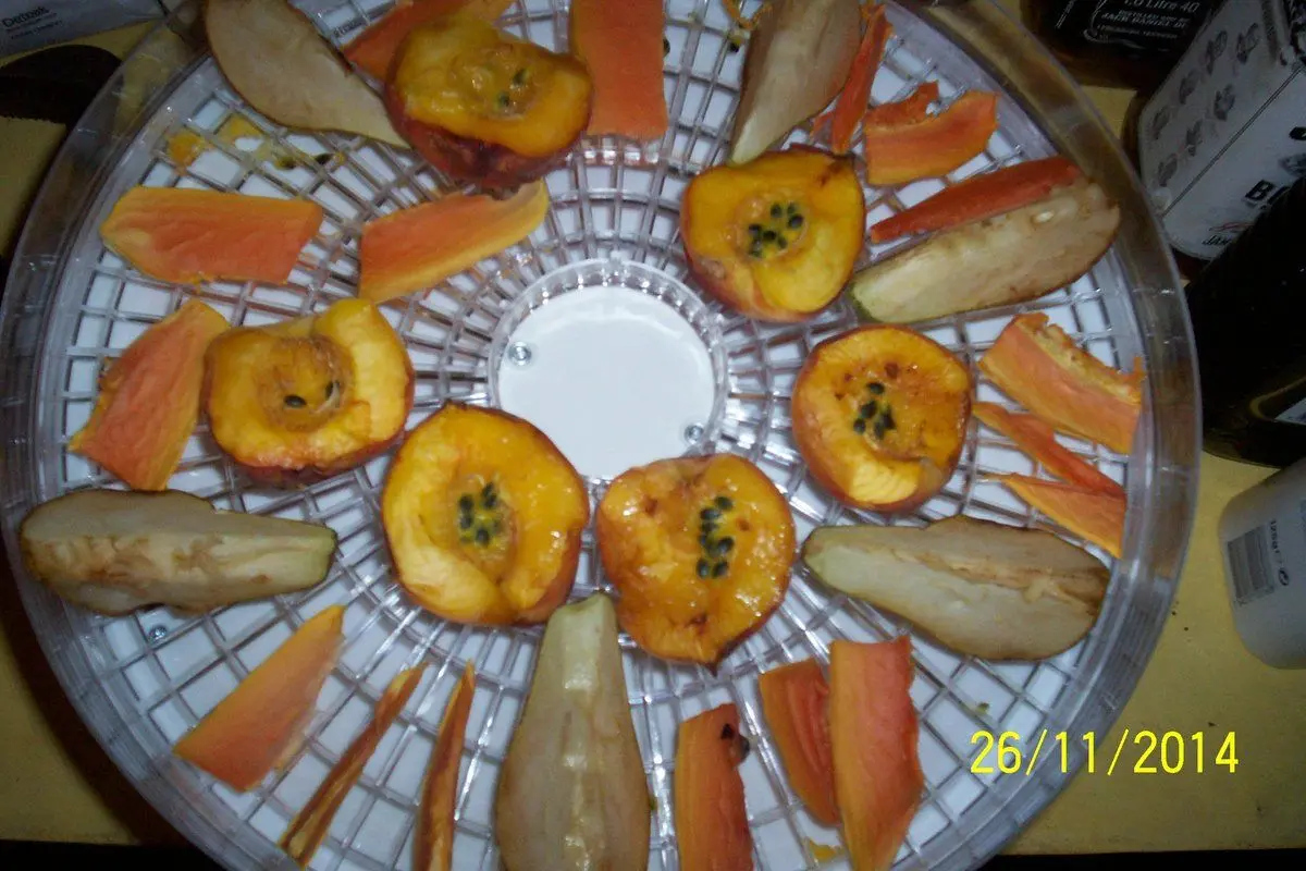 Dehydrating Nectarines, Peacharines and early Peaches Self Sufficient