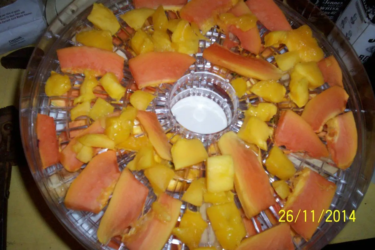 Dehydrating Nectarines, Peacharines and early Peaches Self Sufficient