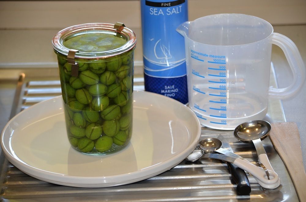 curing home grown olives diy with brine sea salt.jpg