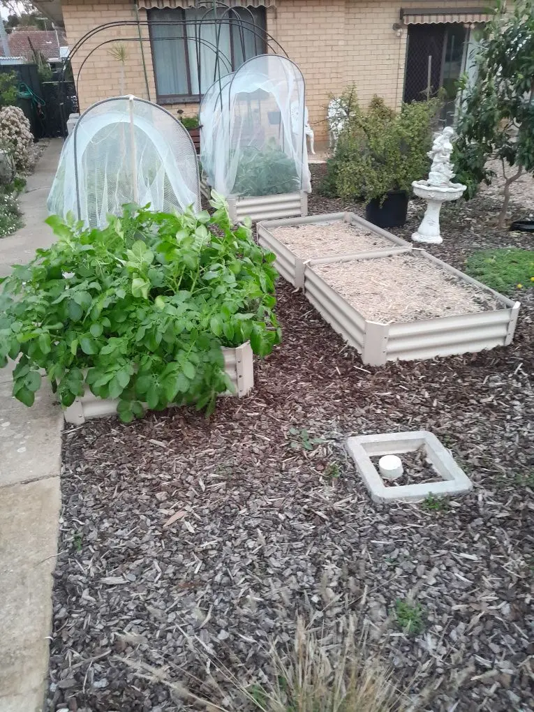 KIG's Garden