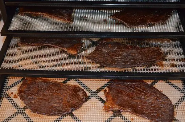 Honey, soy, and garlic beef jerky