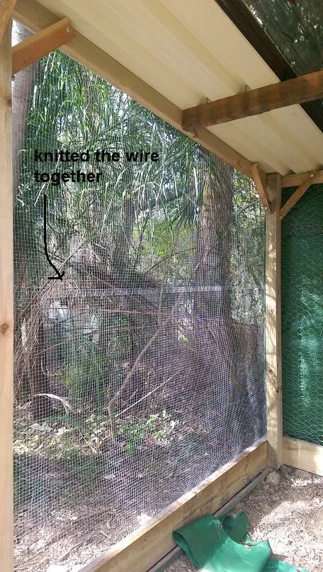 Building my Quail Pen , by Jen