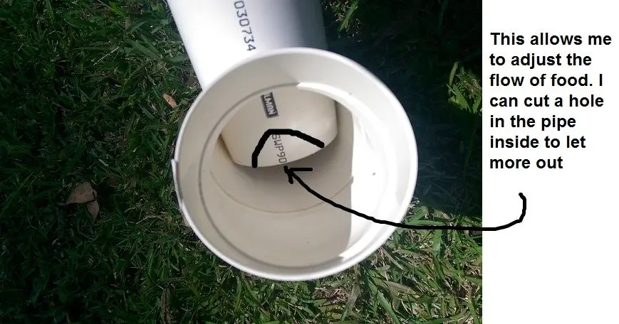 Building my Quail Pen , by Jen