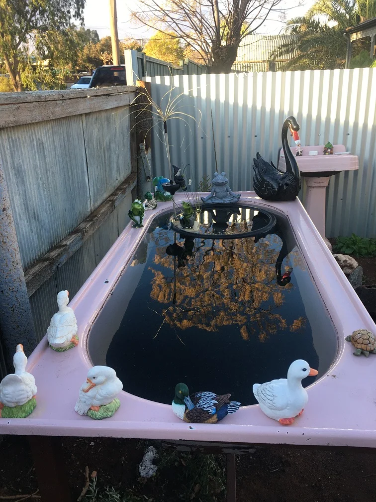 New mission: Playing jigsaw puzzles with Birdies Garden Beds.