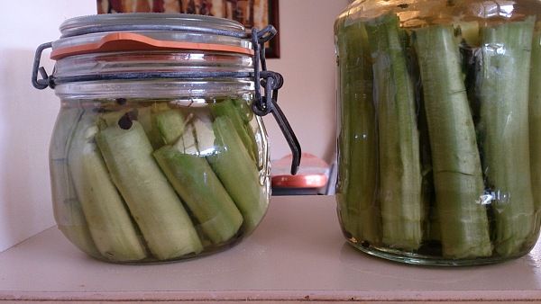 mustard stem pickled in jars.jpg