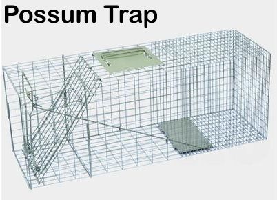 possum trap and release cage kogan.jpg