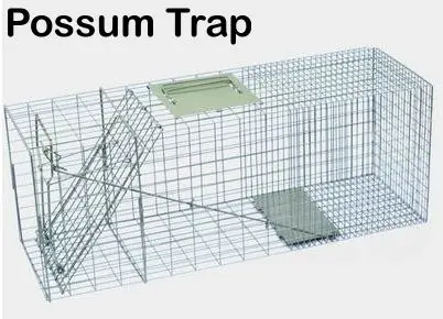 Building an exclusion zone/area from possums, birds, fruit fly and other pests