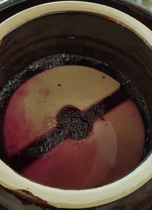 sauerkraut clay pot bubbling fermentation lacto from red mammoth rock  cabbage organic.jpg