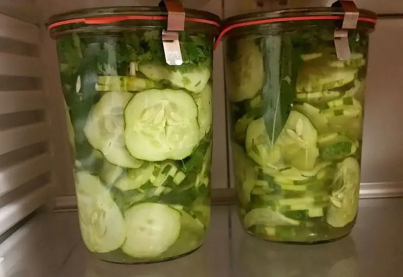Sliced cucumbers pickled preserved in lemon juice & vinegar Self