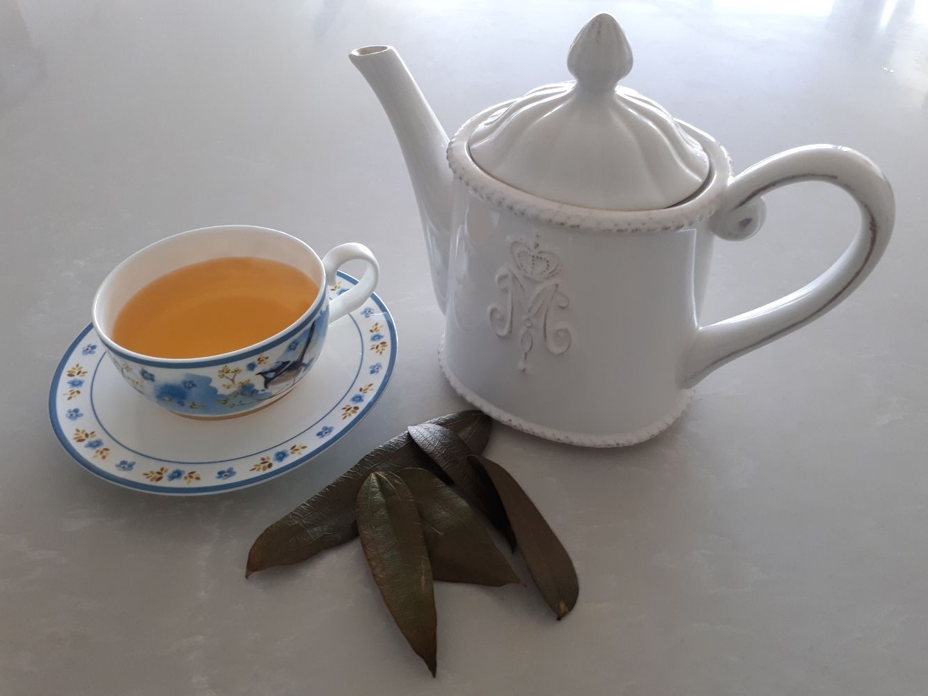 Smilax glciphylla [Tea] sml.jpg