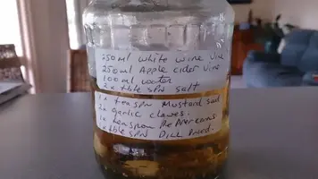 Quick Pickled Cucumbers