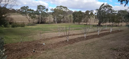 Less time making the dream, more time living it & The Tree of Happiness