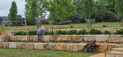 Less time making the dream, more time living it & The Tree of Happiness