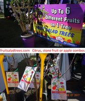 combo fruit trees.jpg