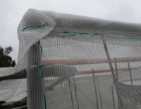 Protection Frame for Tomatoes or any fruit/veg Protection Frame for Tomatoes or any fruit/veg