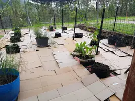 Self Watering, Air Root Pruning Vegetable Garden