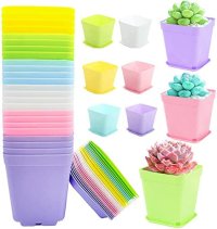 Coloured plastic pots.jpg
