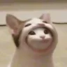 Nanners