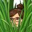 Julie-Jane