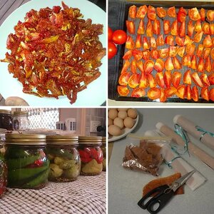 Mark's Preserved Stuff