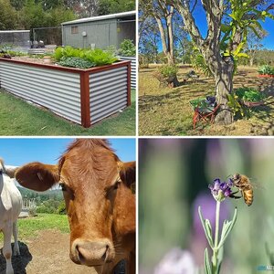 Self-Sufficient Photo of the Month Oct/2016