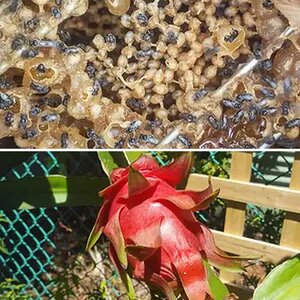 Self-Sufficient Photo of the Month Feb/2017