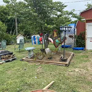 B4B946B4-D05E-487E-8E9F-5F46D4E67344.jpeg