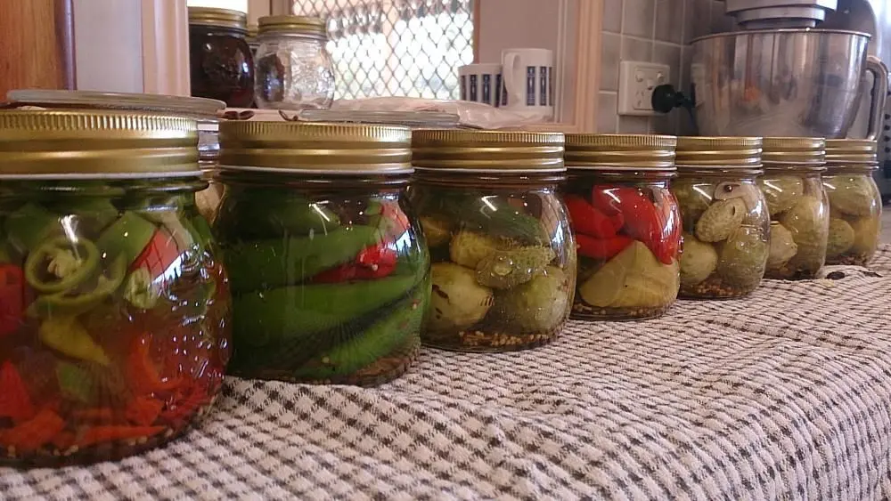 Pickled cucumbers and chillies Self Sufficient Culture